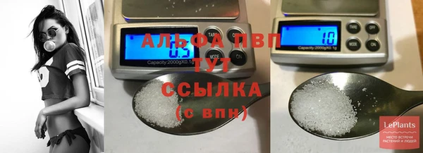 не бодяженный Белокуриха