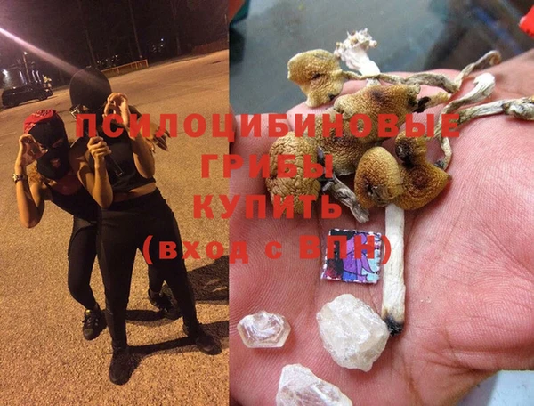 не бодяженный Белокуриха