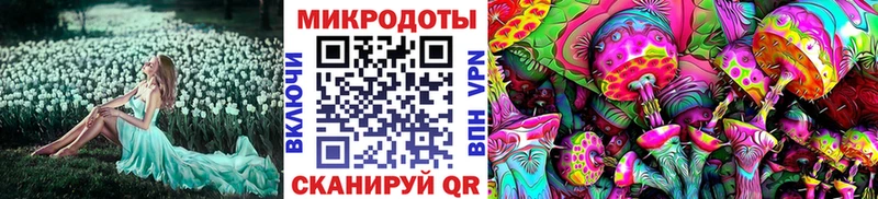 Галлюциногенные грибы Psilocybine cubensis  Верея 